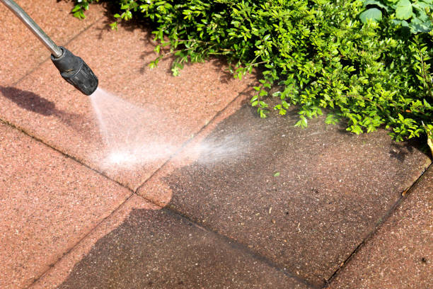 Best Best Pressure Washing Companies  in Marlinton, WV